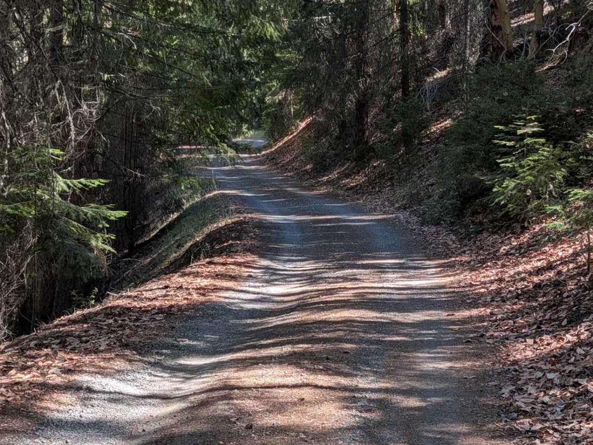 Hall City Creek Road - FS 29N07  photo 4