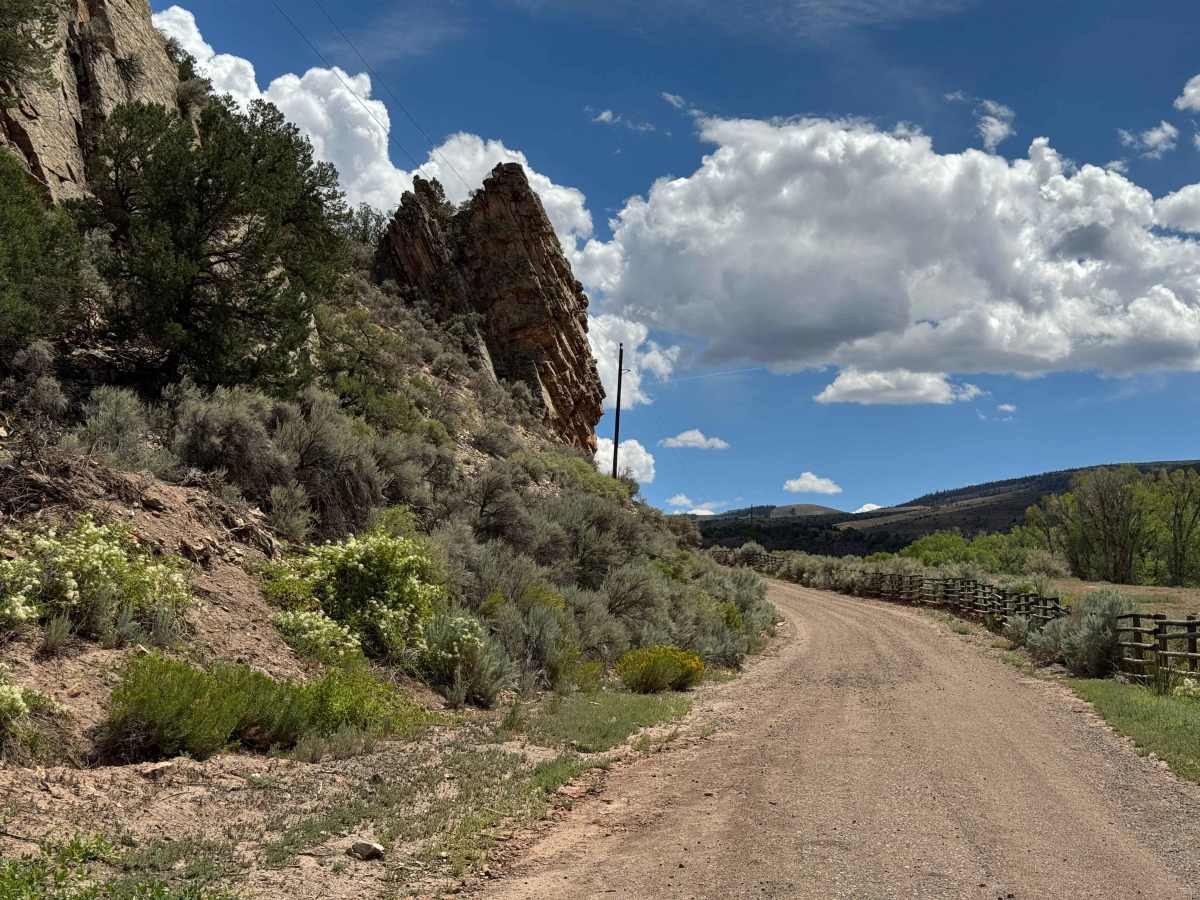 CR 41 photo 6