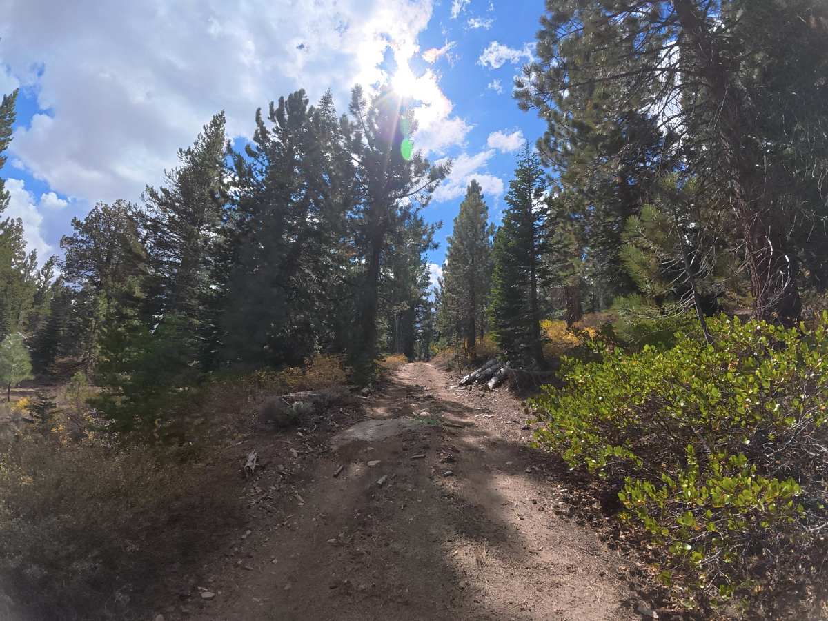 Creek Road Spur F photo 3