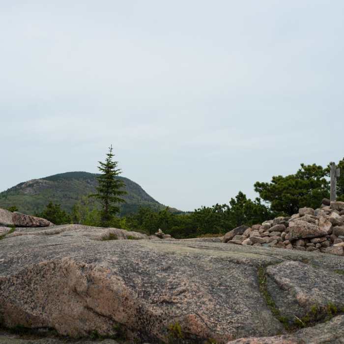 Near Gorham Mountain Loop Near Gorham Mountain Loop