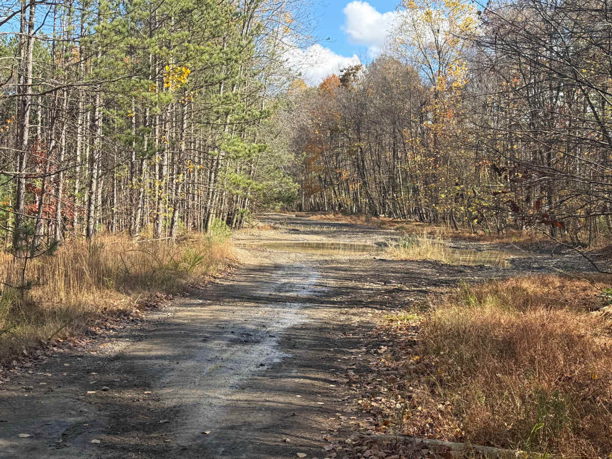 Trail 132 photo 6