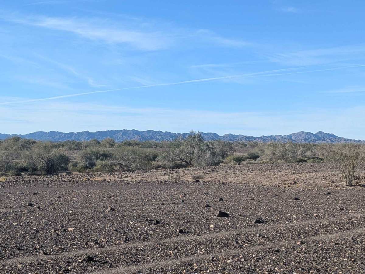 BLM 819 photo 5