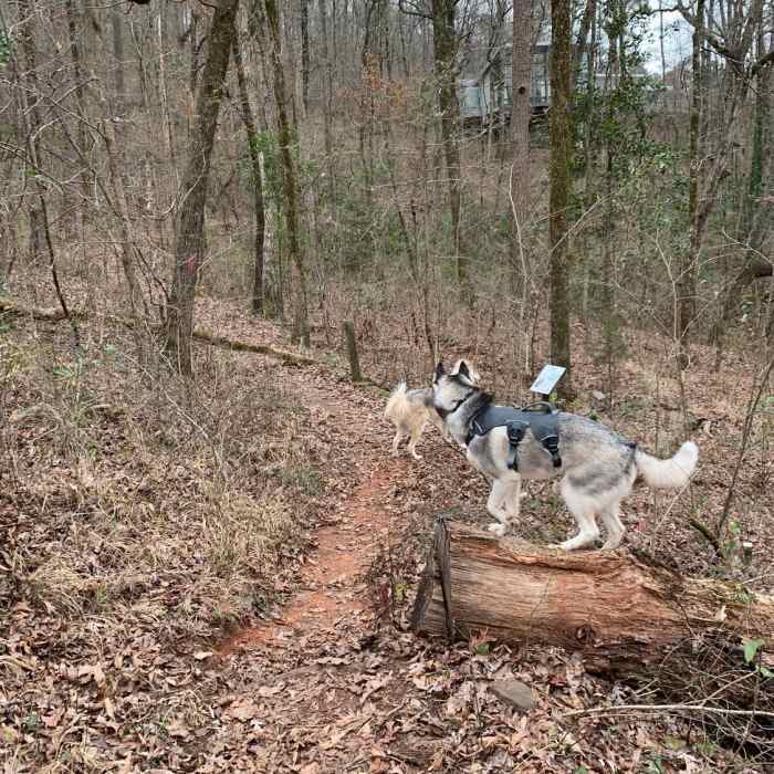 Trail is narrow but not too bad Near Marian Harnach Nature Trail