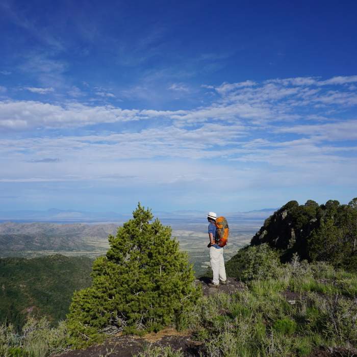 Near Crest Trail (#25)