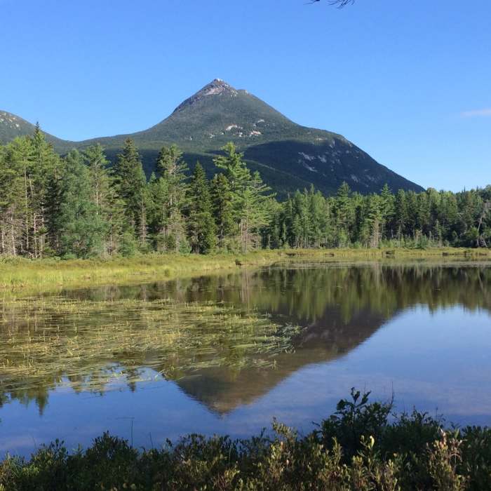 Near Doubletop Trail