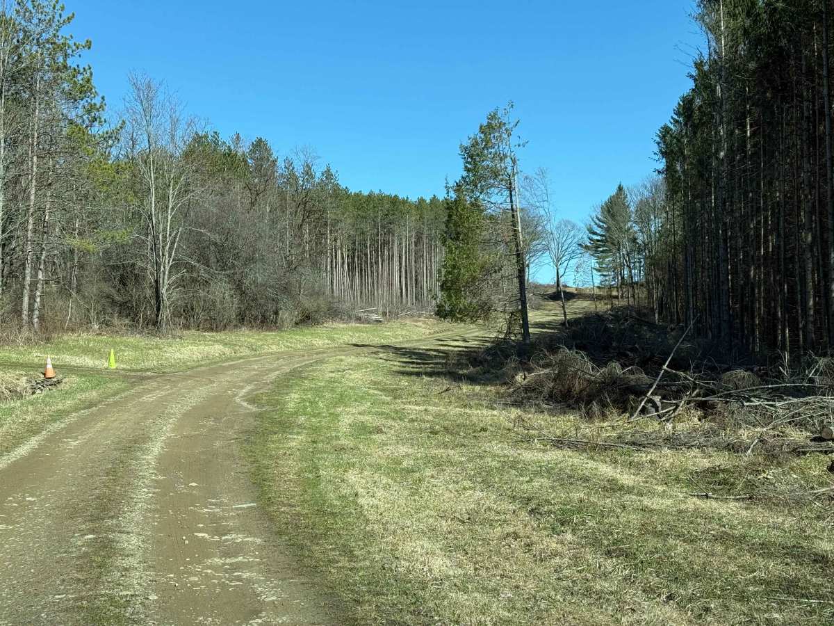 Plumbottom Brown Road photo 3
