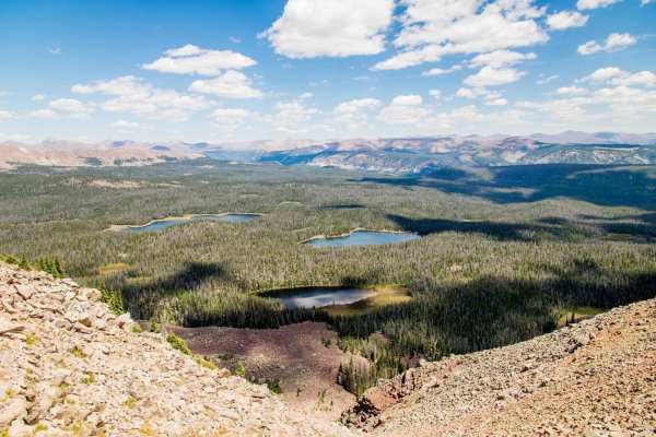Dry Ridge Road