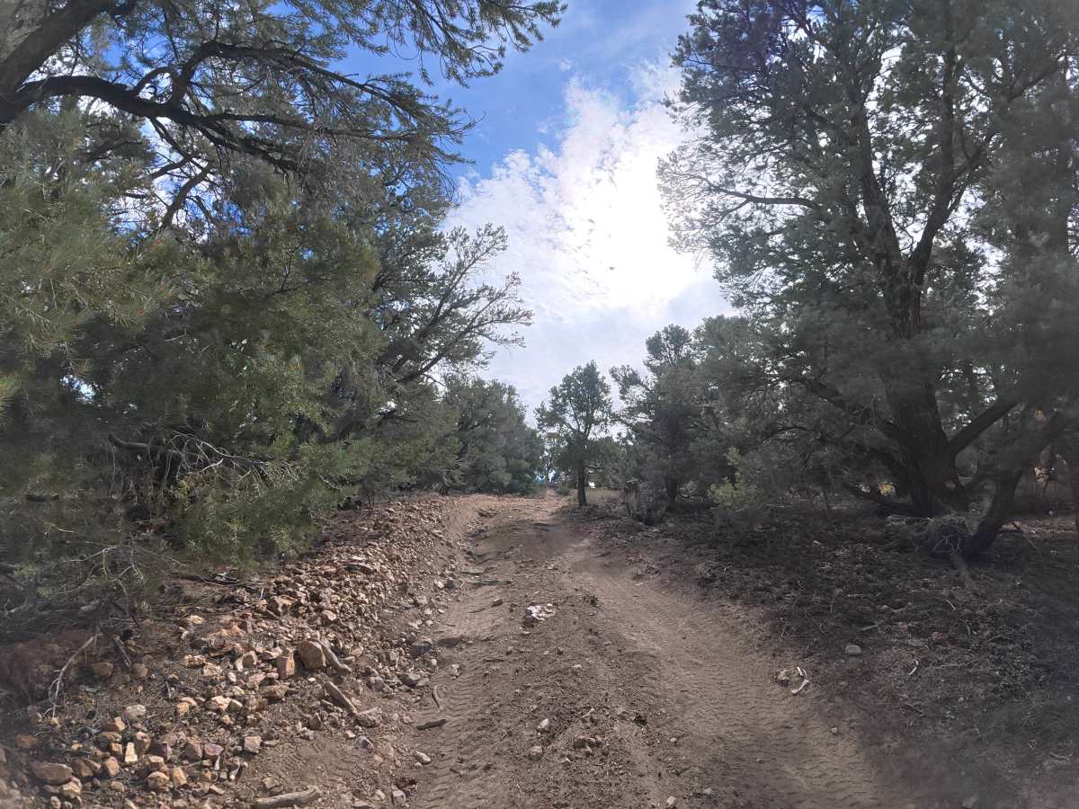 Dome Hill Road photo 6