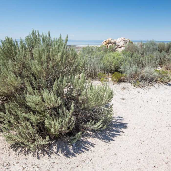 Near Lady Finger Point