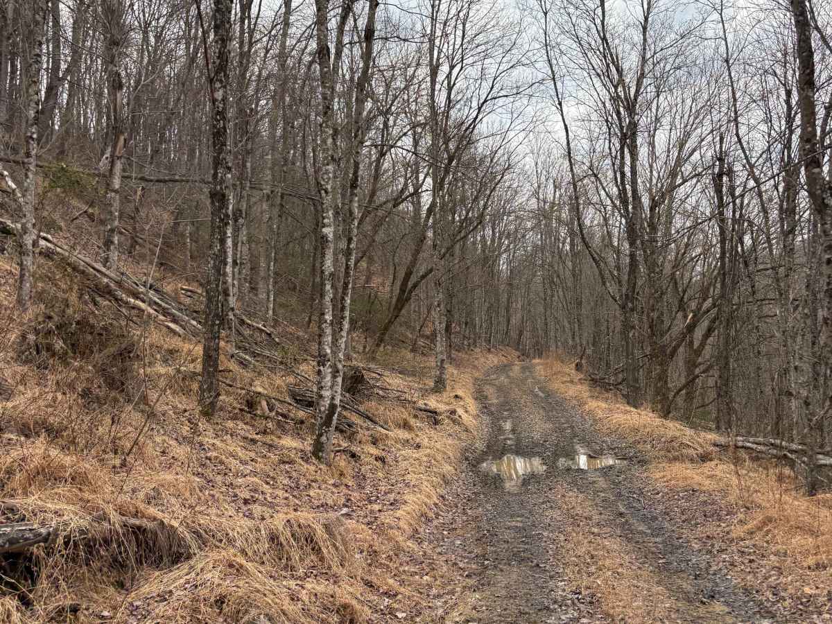 Trail 3 photo 2