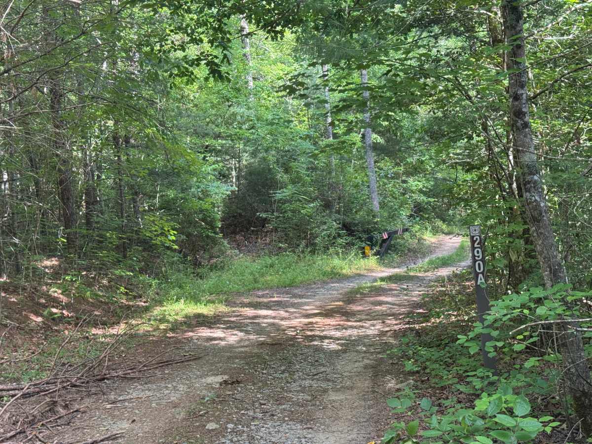 Sutton Hole - FS 290A trail photo