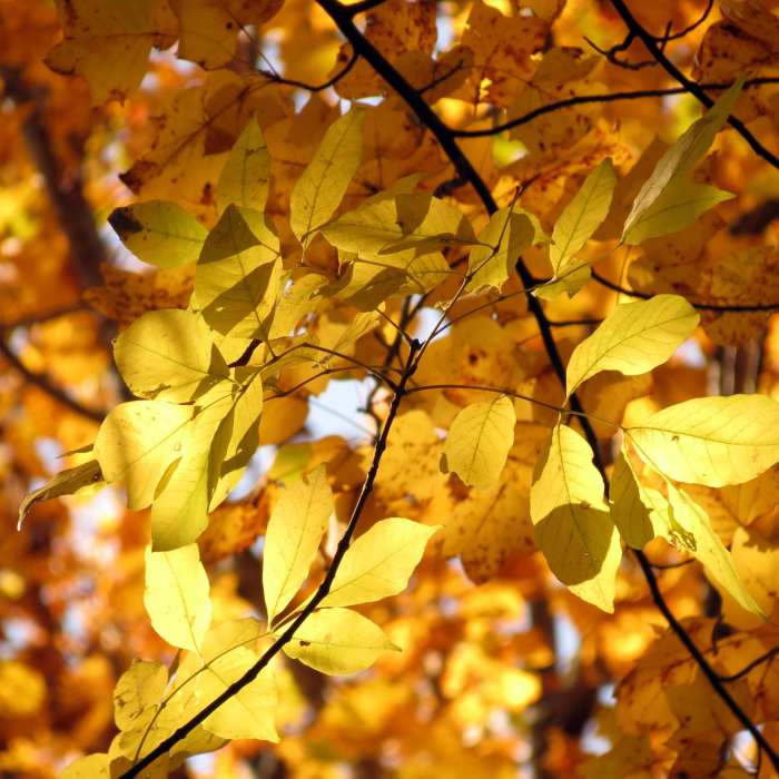 Near North Rock Creek Park 5K Loop