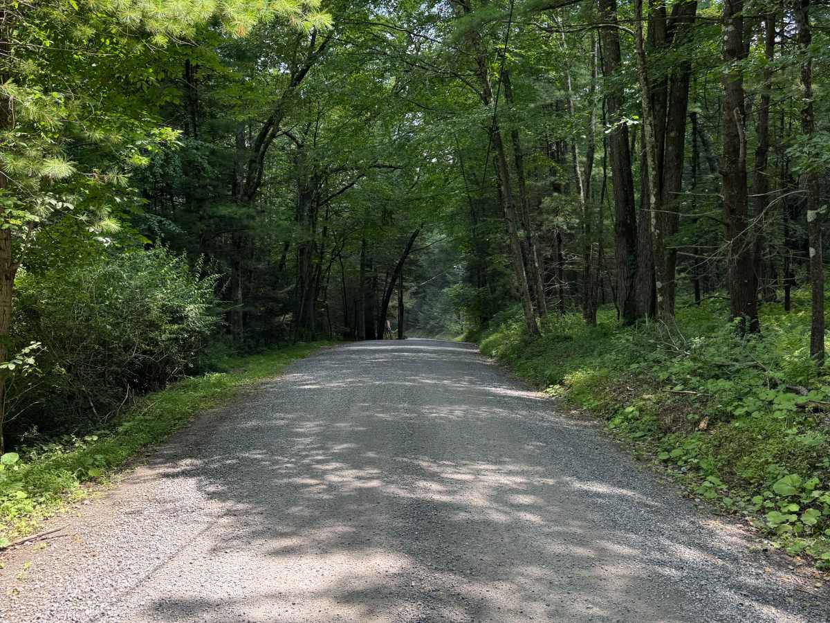 Lower Pine Bottom Road photo 3