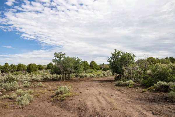 Pinenut Flat Trail