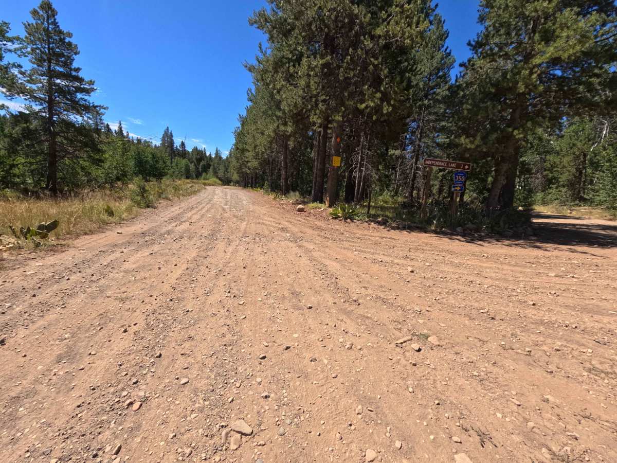 Old Fibreboard - FS 0007-010 trail photo