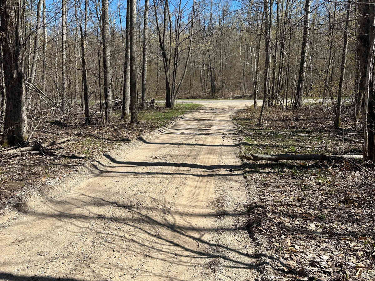 Manuka Lake Loop trail photo