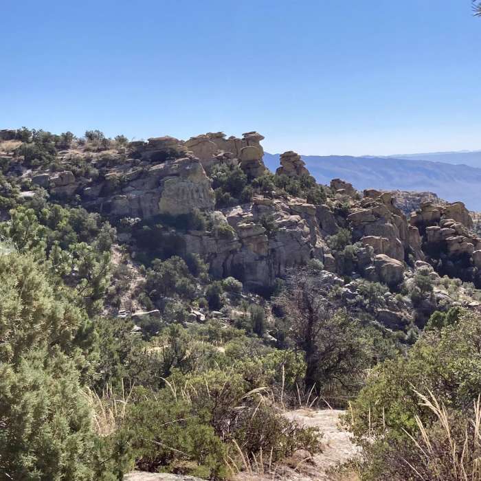 Near Bug Springs Trail Near Bug Springs Trail