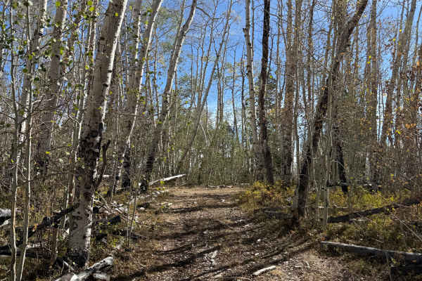 East Fork Spur 2