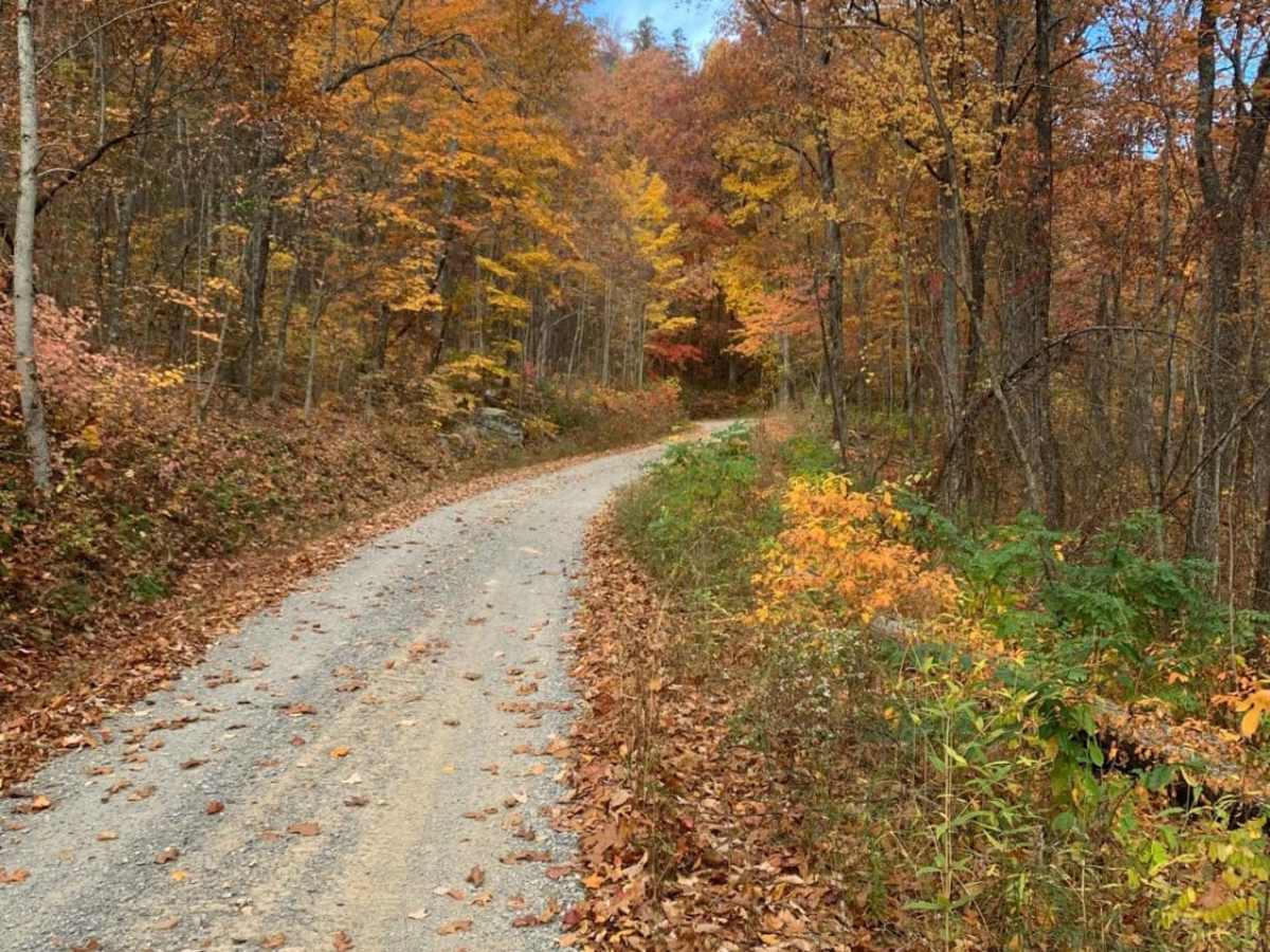 Starr Mountain Road 220 photo 3