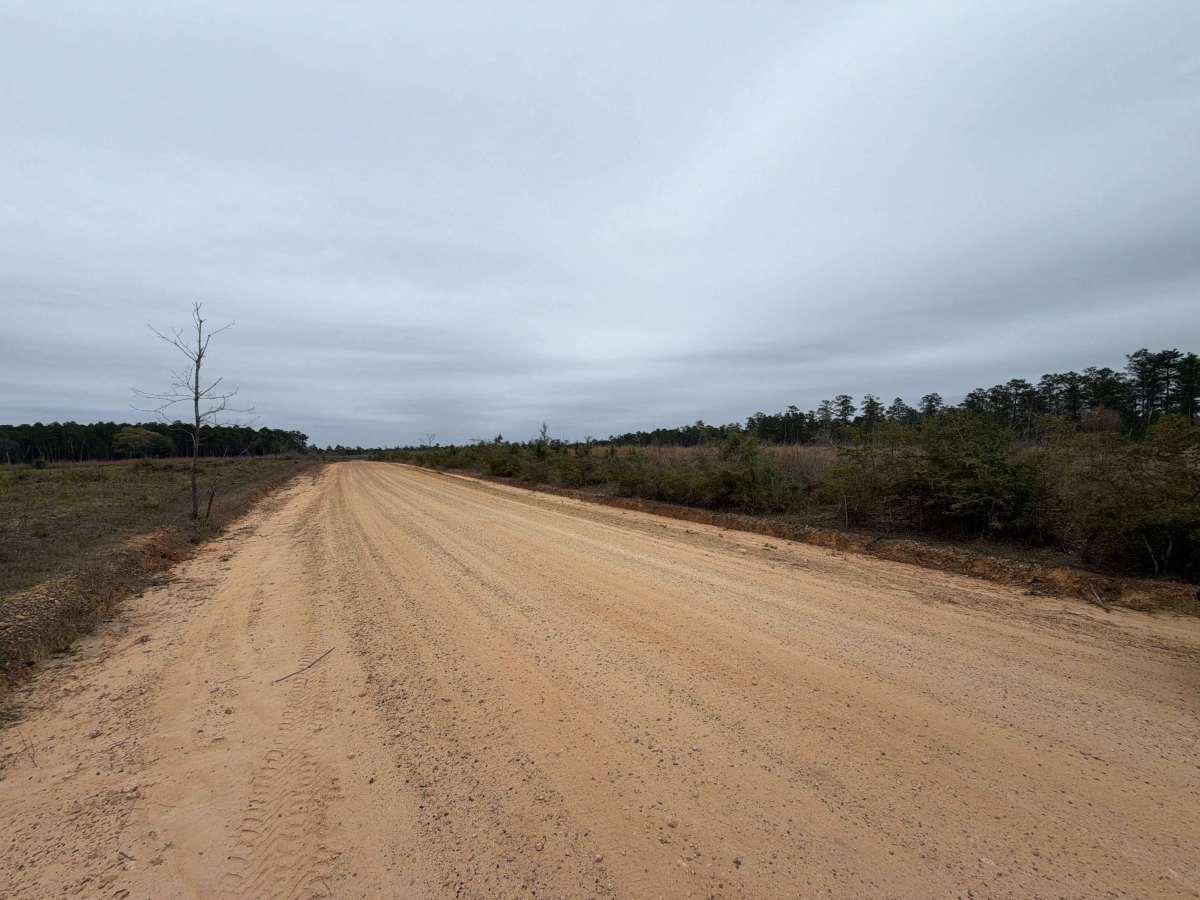 Cemetery Road photo 3