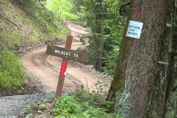 Wildcat Trail