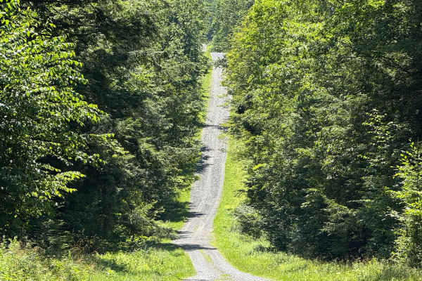 Morey Road