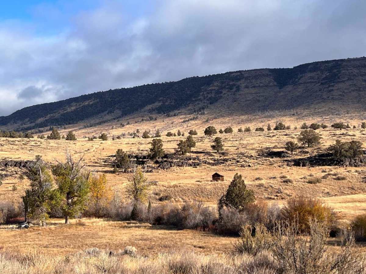 Riddle Brothers Ranch trail photo