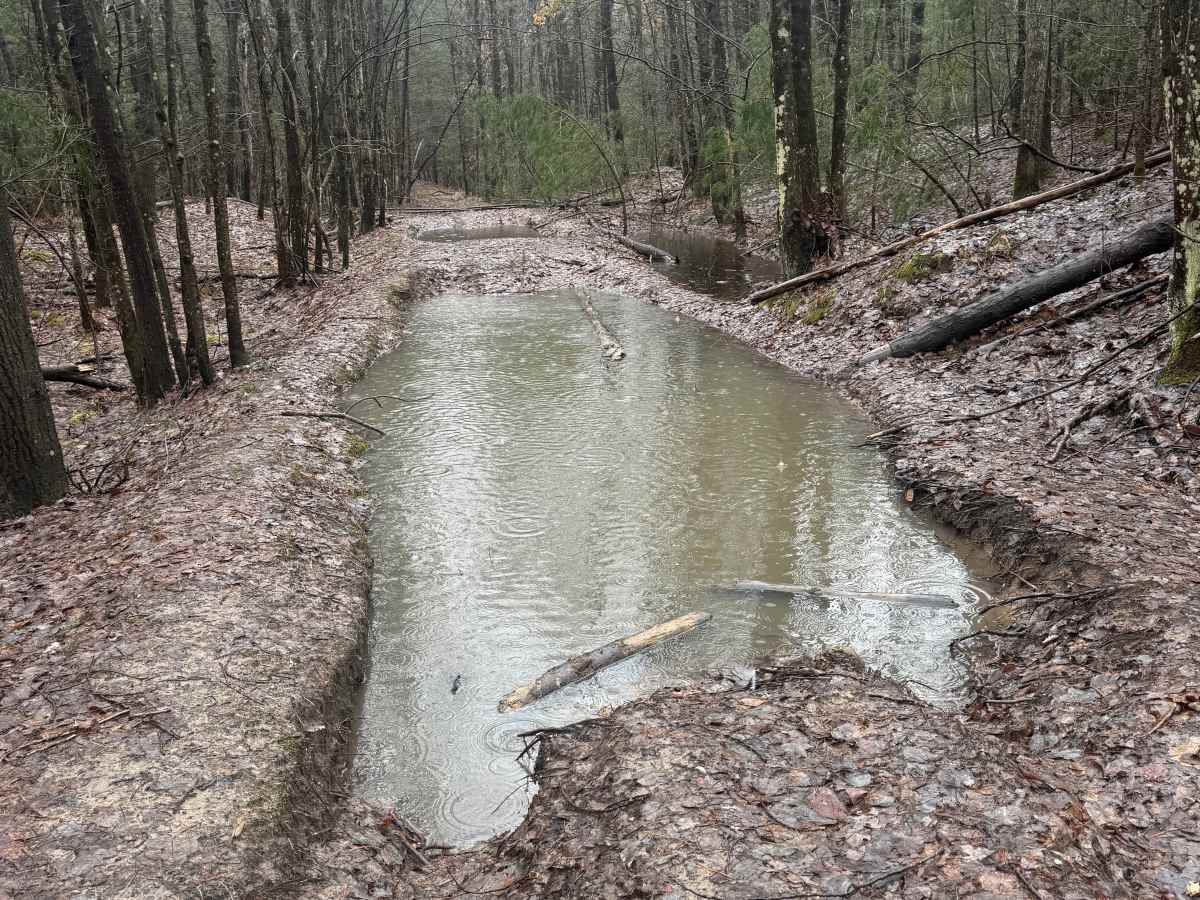 NFS 6695 trail photo
