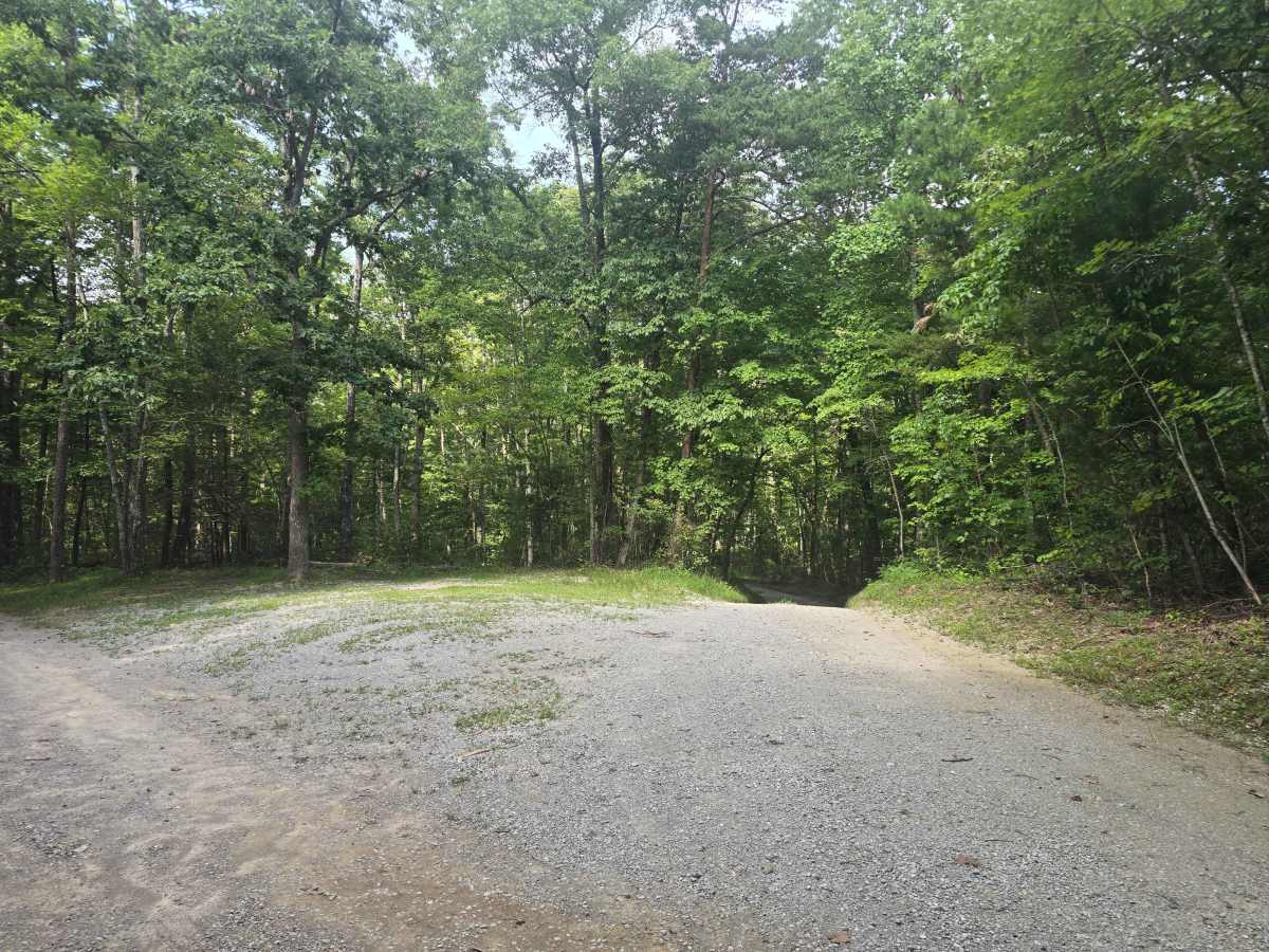 Alfred Smith Road trail photo
