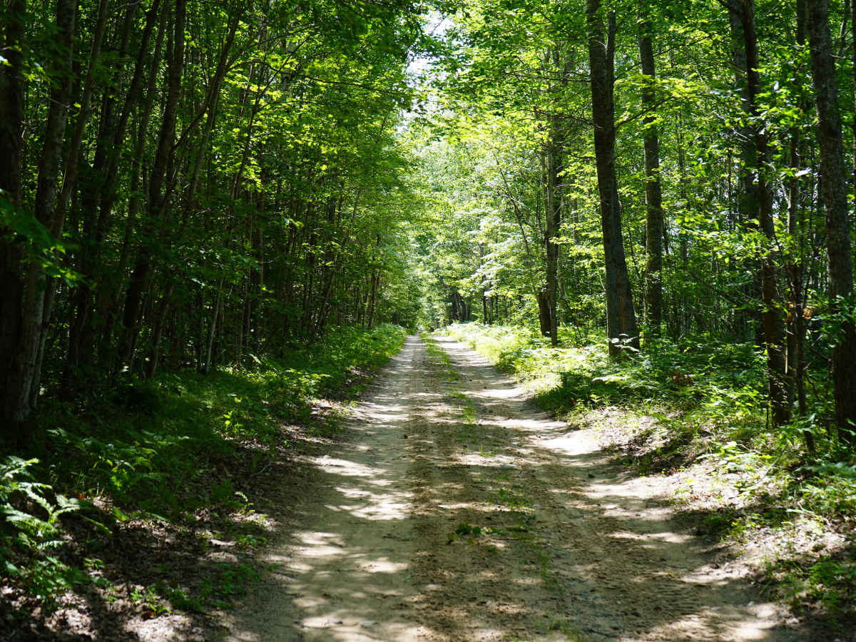 Sawyer Road photo 5