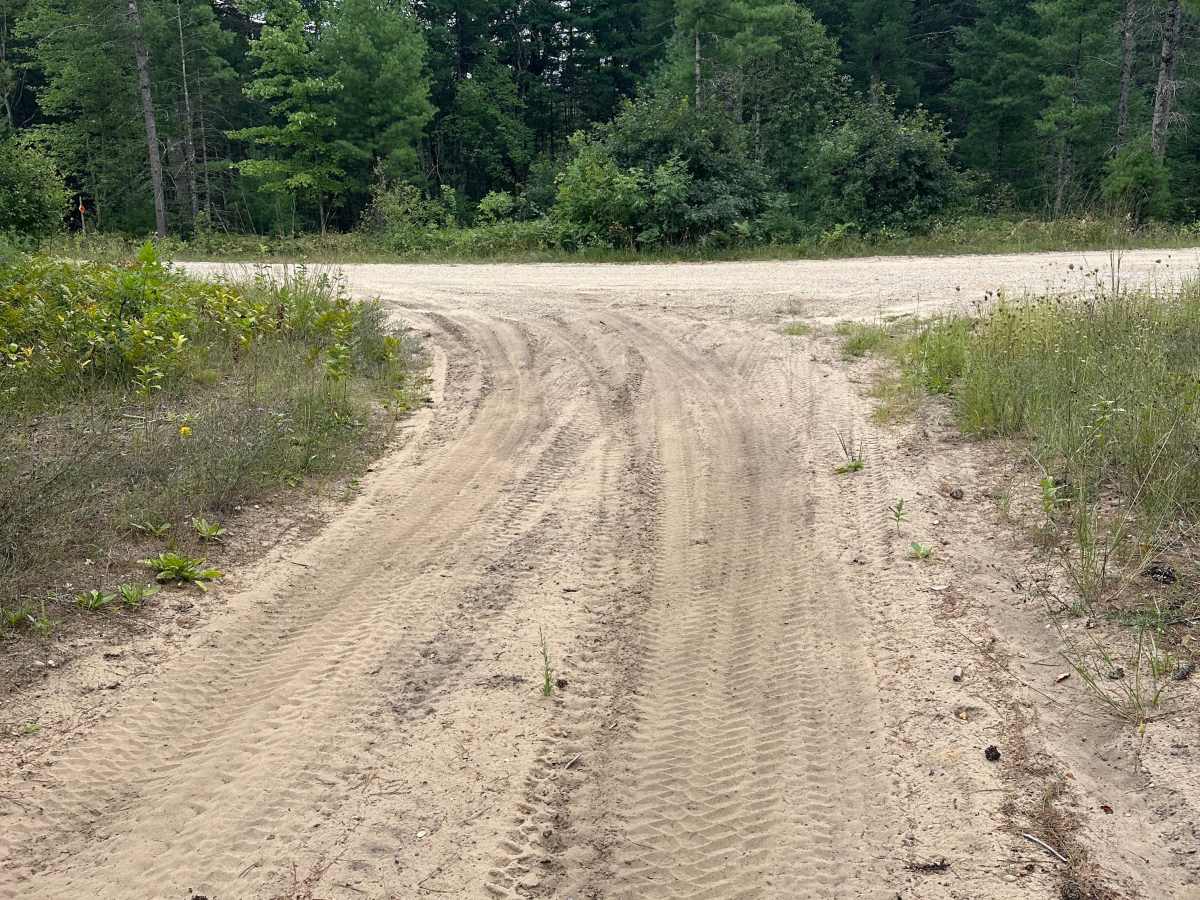 Paddle Trail Cutover  photo 3