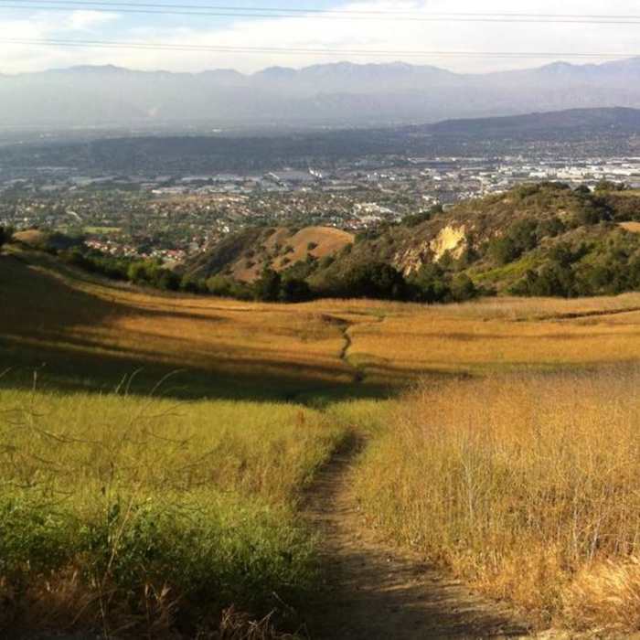 Near Schabarum Trail