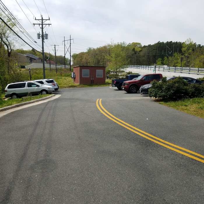 Near Rappahannock Canal Path