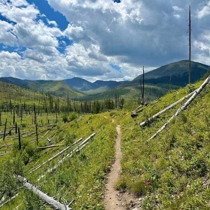 Near Continental Divide Trail: Montana-Idaho Section 24