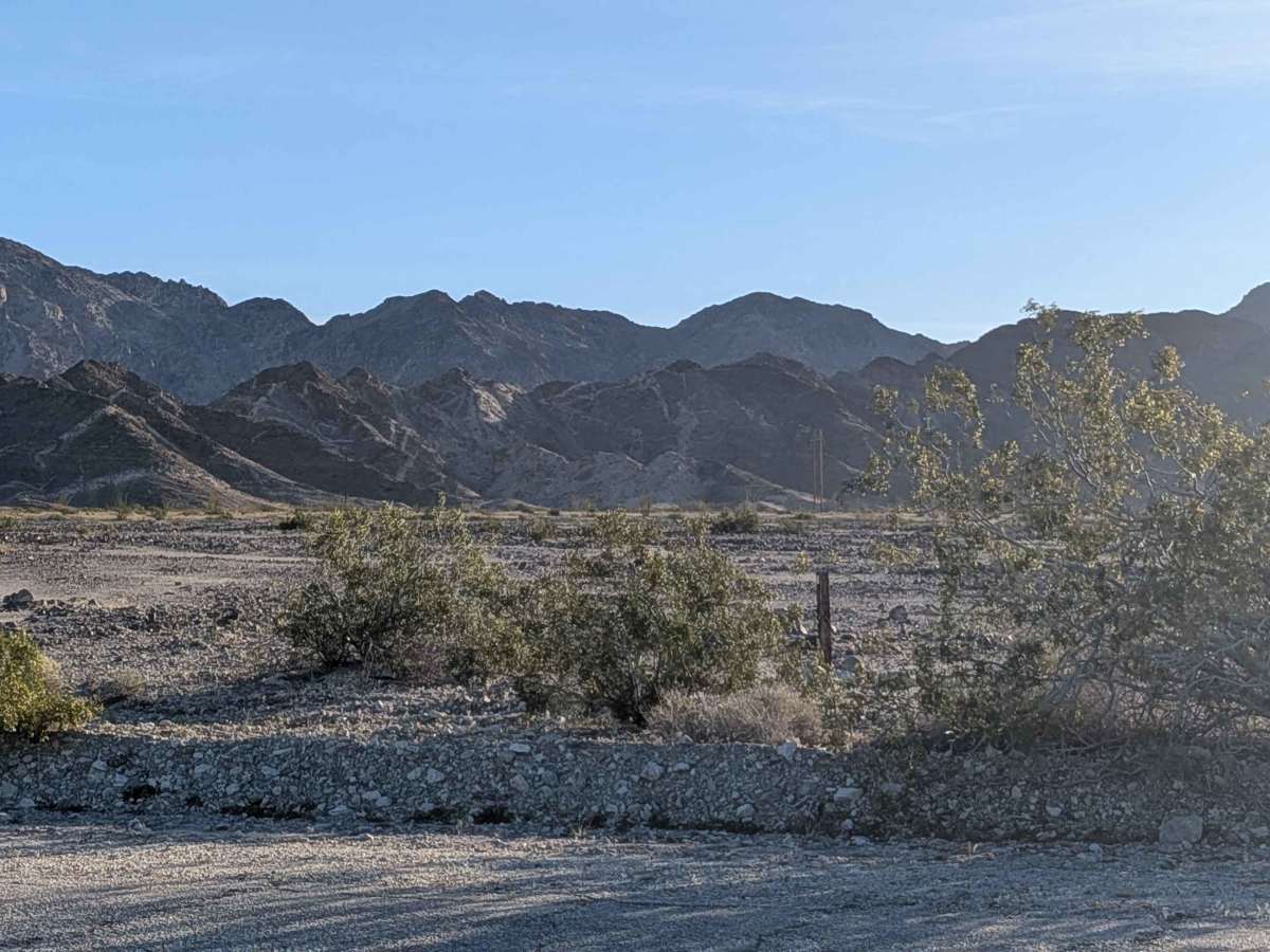 BLM 702 photo 2