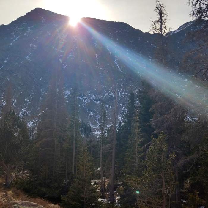 Near South Colony Spur