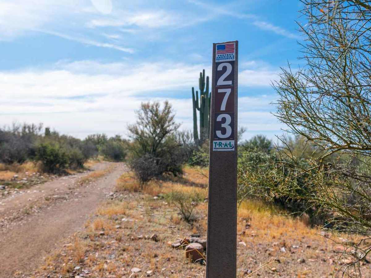 FS 273 trail photo