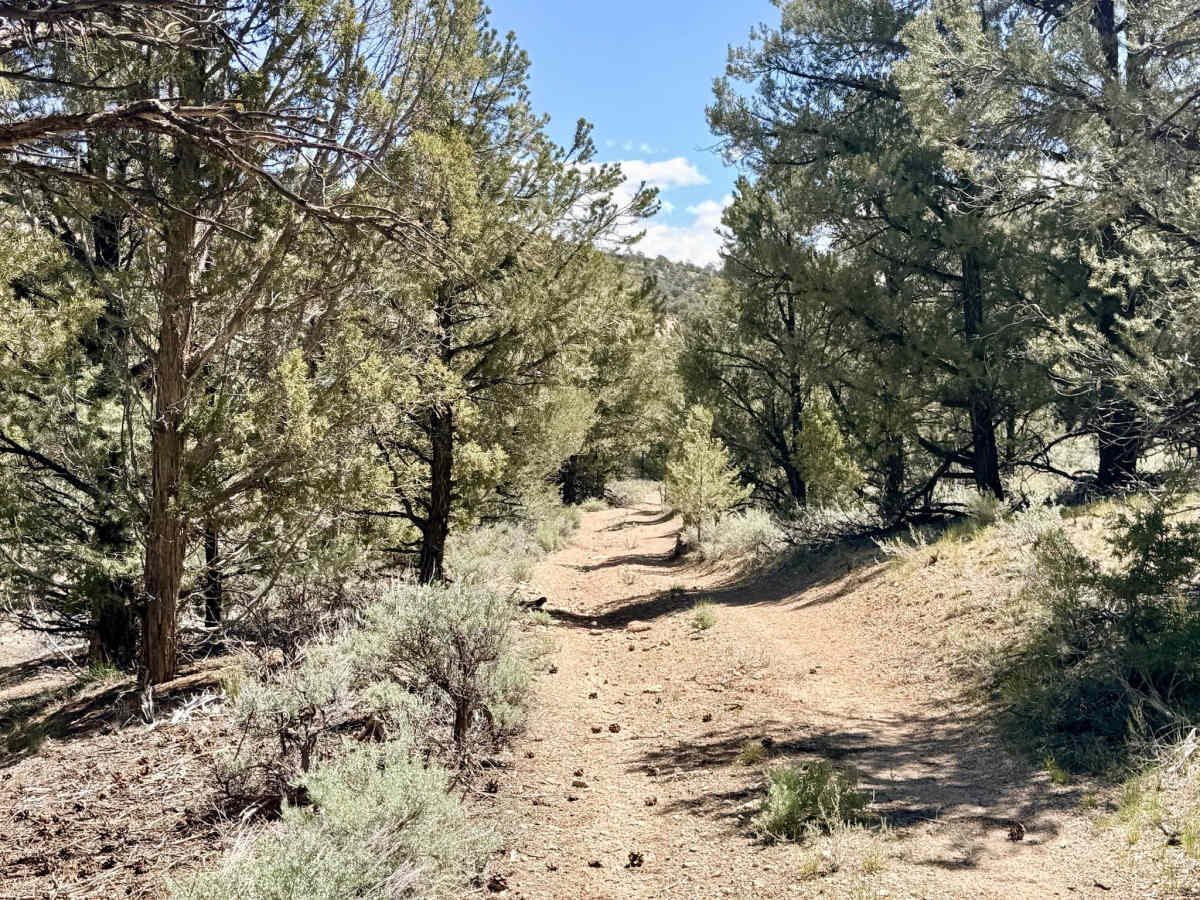 Historical Stage Route -  FS 44214 photo 3