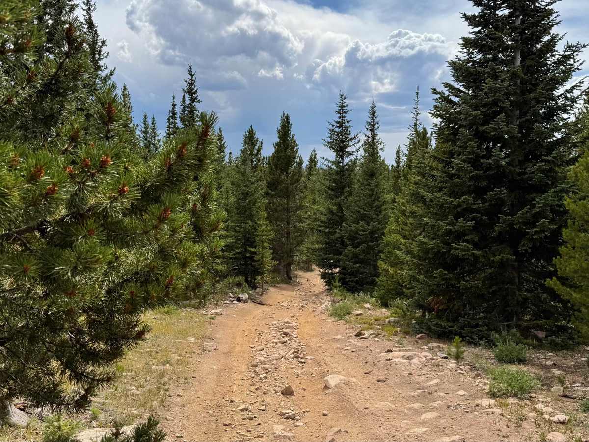 Nunn Creek Cutoff Road photo 3