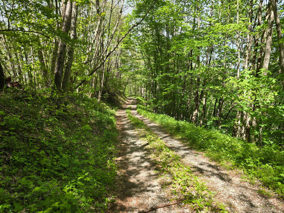 Shell Stand Road photo 4