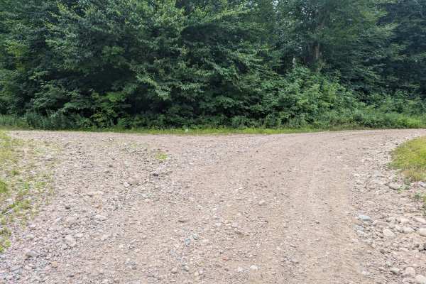 Goldmine Trail