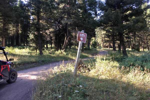 Spring Creek Road - FS 889