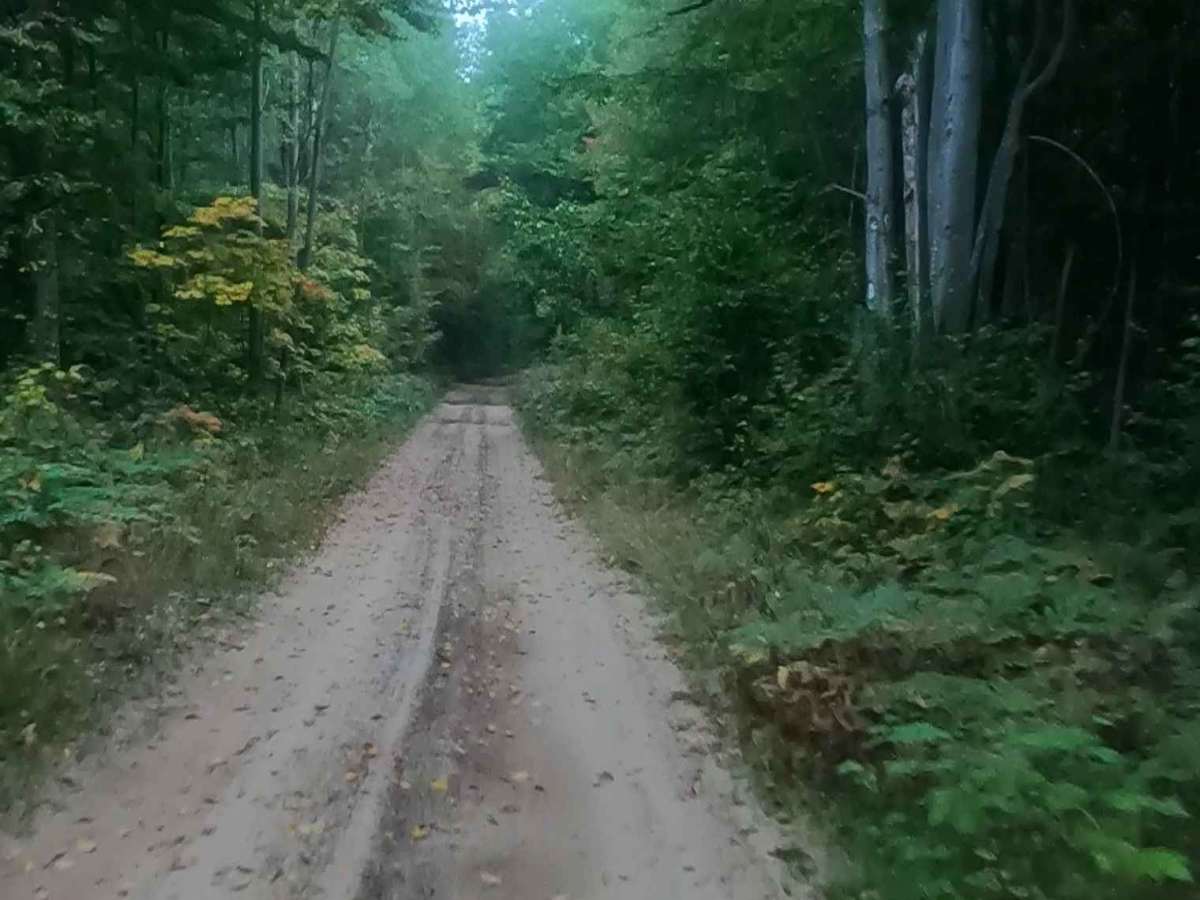 Prout Road (ORV Route A) trail photo
