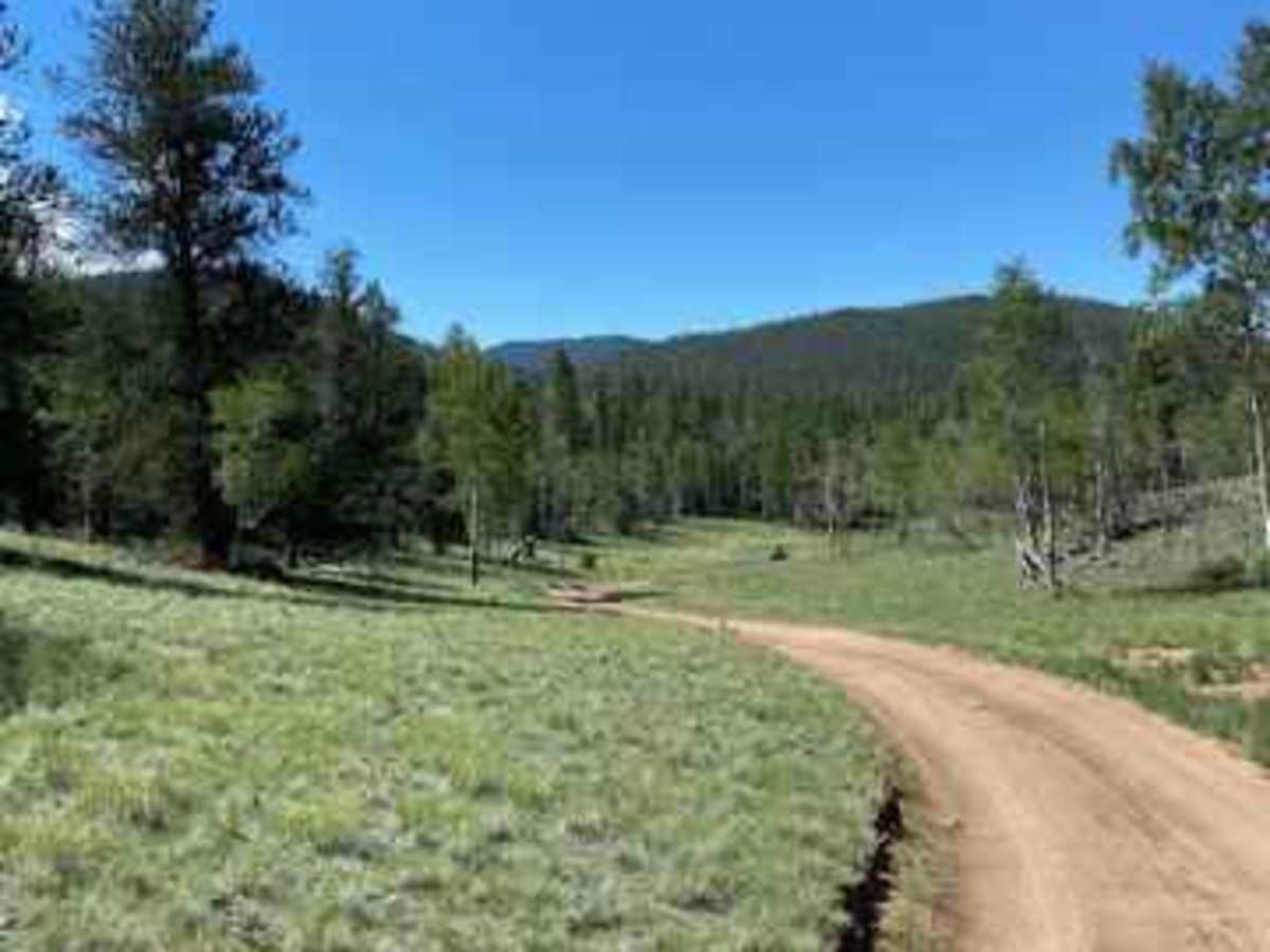 Schoolmarm Mountain trail photo
