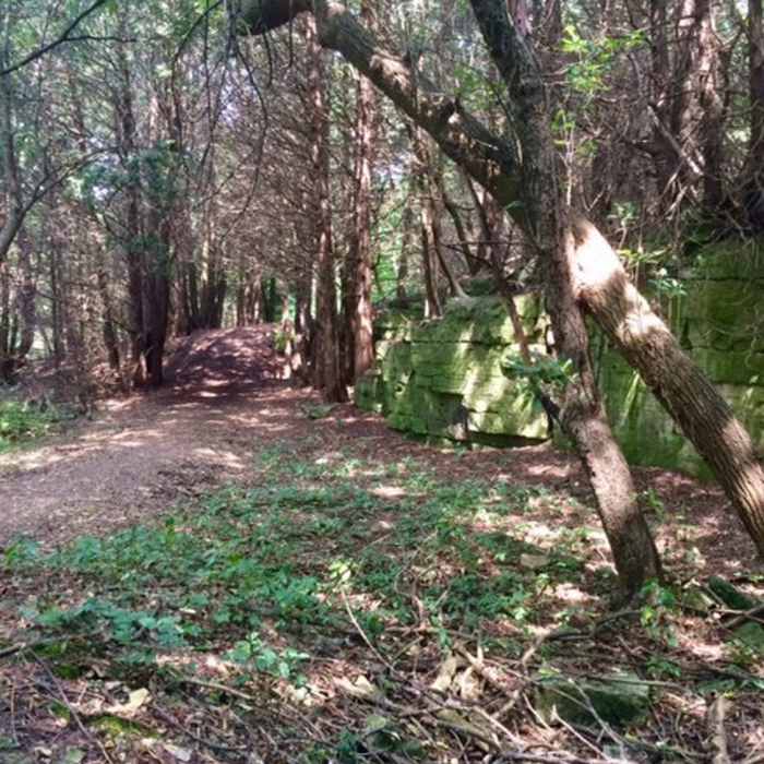 Near University of Wisconsin-Green Bay Cofrin Arboretum