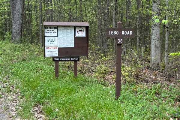 Lebo Road