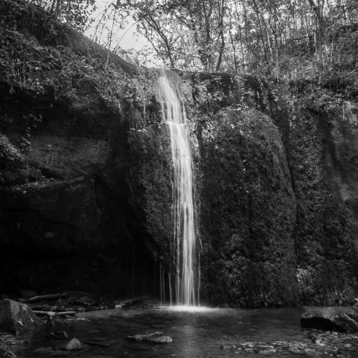 Near Stephens Falls Trail