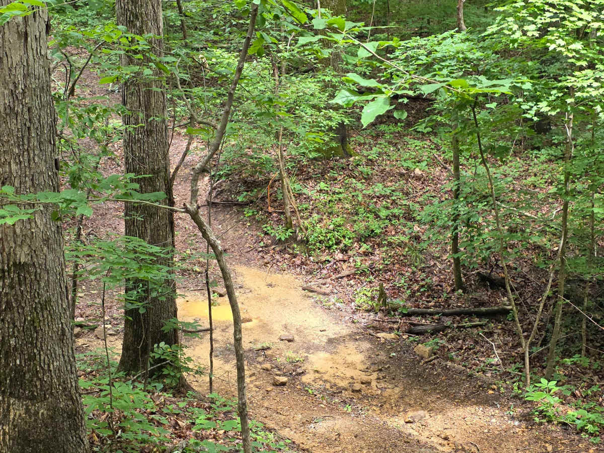 Brocato's Boulders photo 6