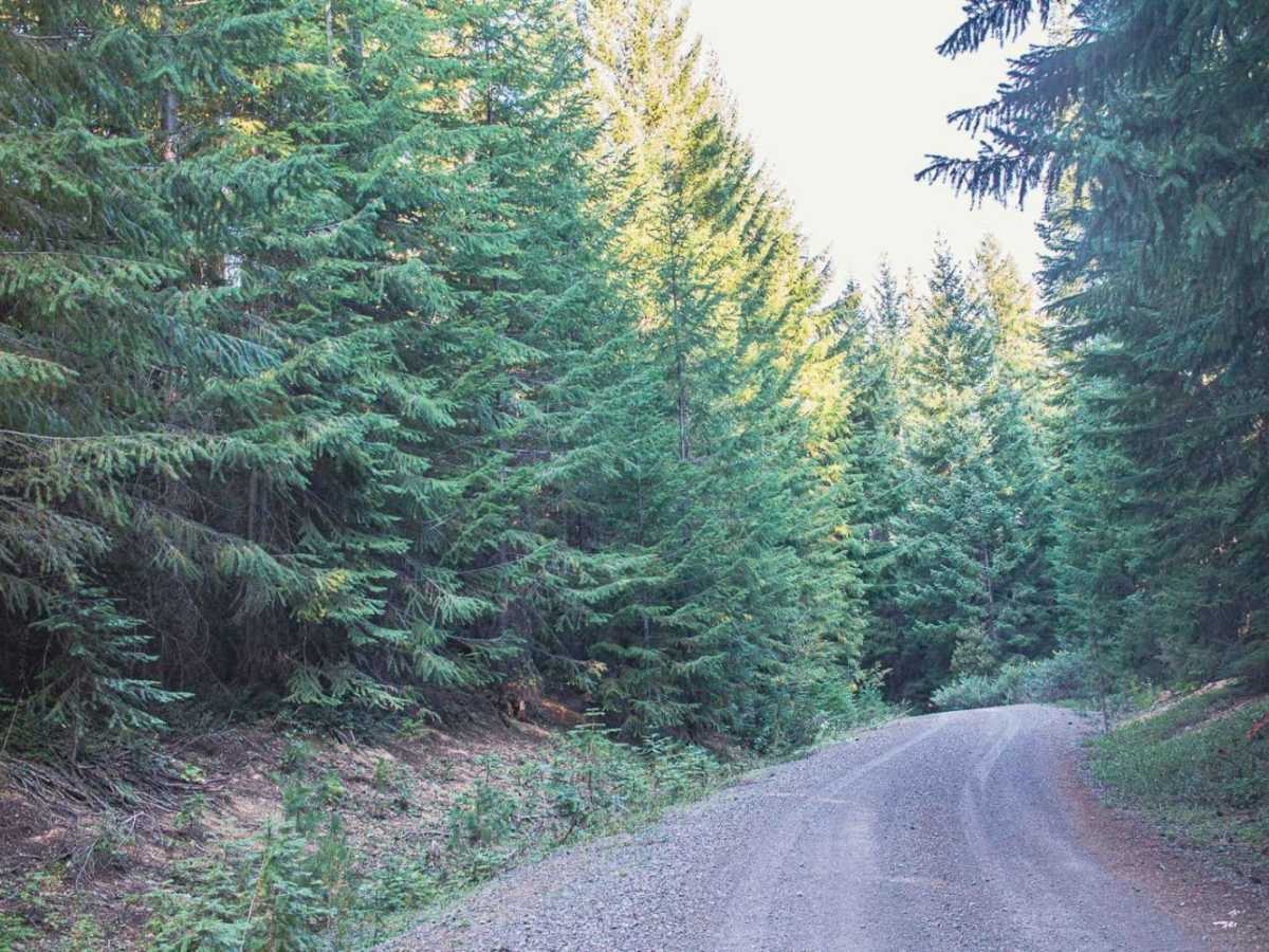 Lost Creek Loop photo 6