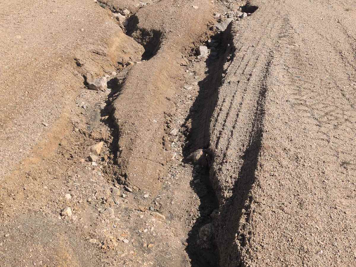 BLM SE781 photo 3